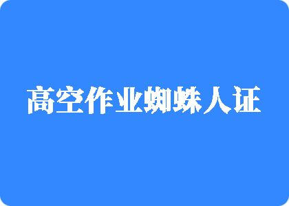 动漫美女网站xx鸡八高空作业蜘蛛人证